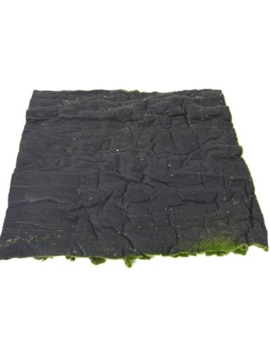 MUSGO Nuevo PANEL 100*200