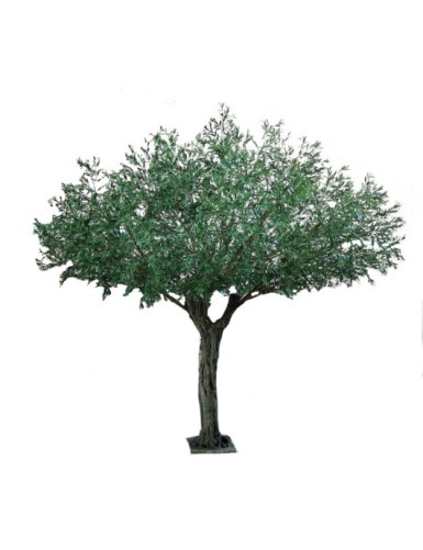 OLIVENBAUM UMBRELLA 440 UV