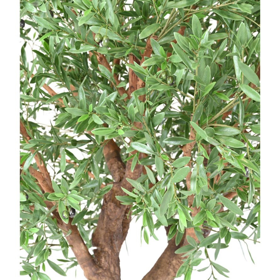 OLIVENBAUM UMBRELLA 440 UV