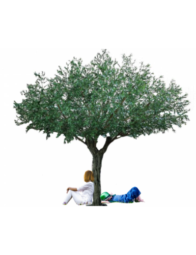 OLIVO UMBRELLA 440 RESISTENTE A LOS RAYOS UV