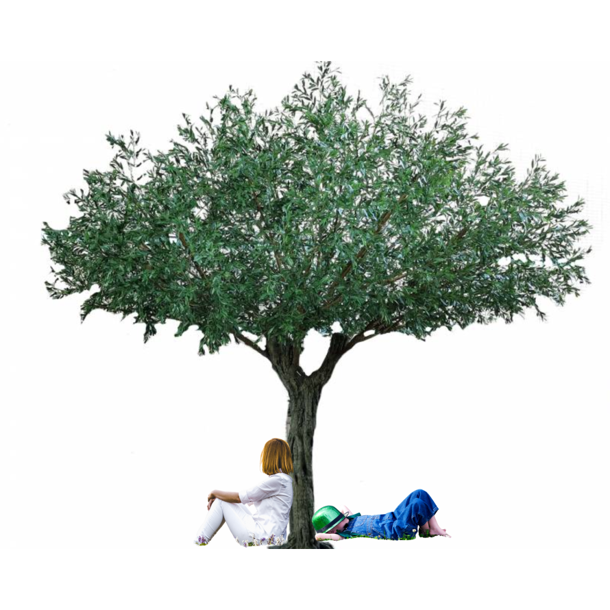 OLIVO UMBRELLA 440 RESISTENTE A LOS RAYOS UV