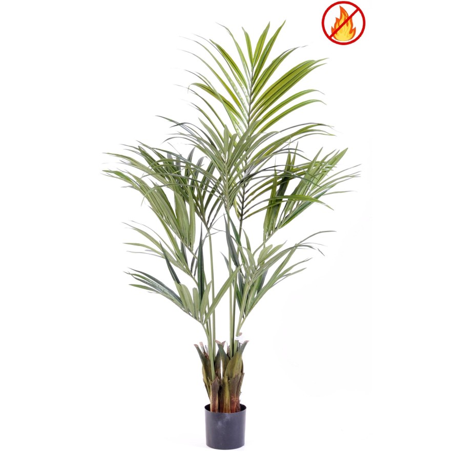KENTIA PALMERA 150 FR - Resistente al Fuego