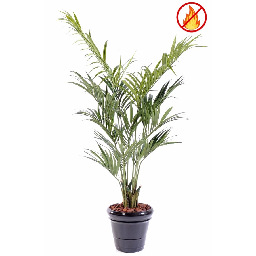 KENTIA PALMERA 190 FR - Resistente al Fuego