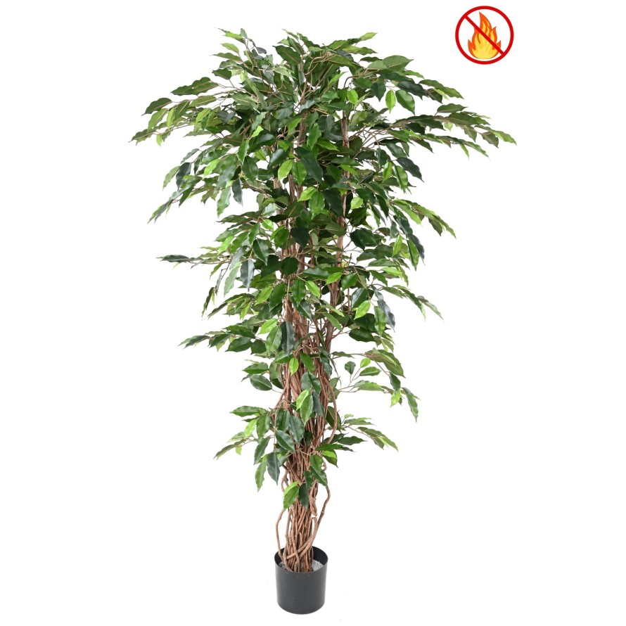 FICUS 180 LIANAS FR - Resistente al Fuego