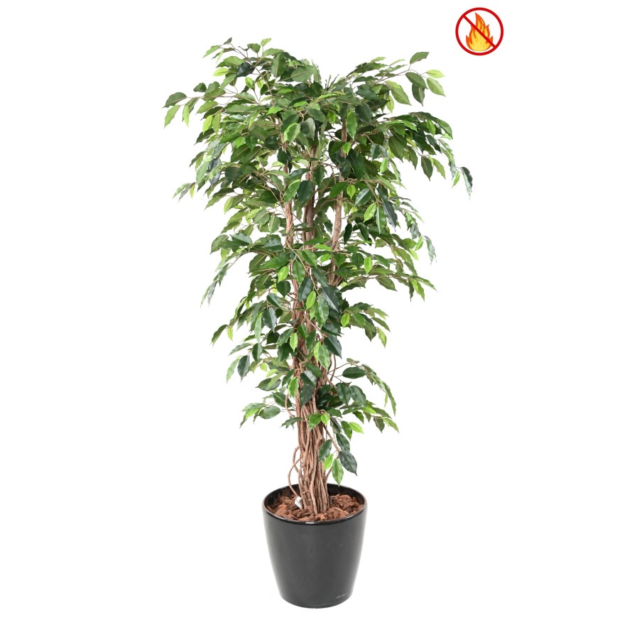 FICUS 180 LIANAS FR - Resistente al Fuego