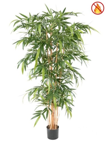 BAMBUS NEW 150 FR –...