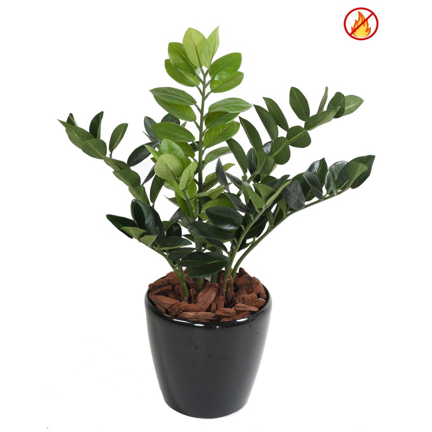 ZAMIA 60 FR - Resistente al Fuego