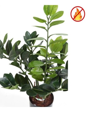 ZAMIA 60 FR - Resistente al Fuego