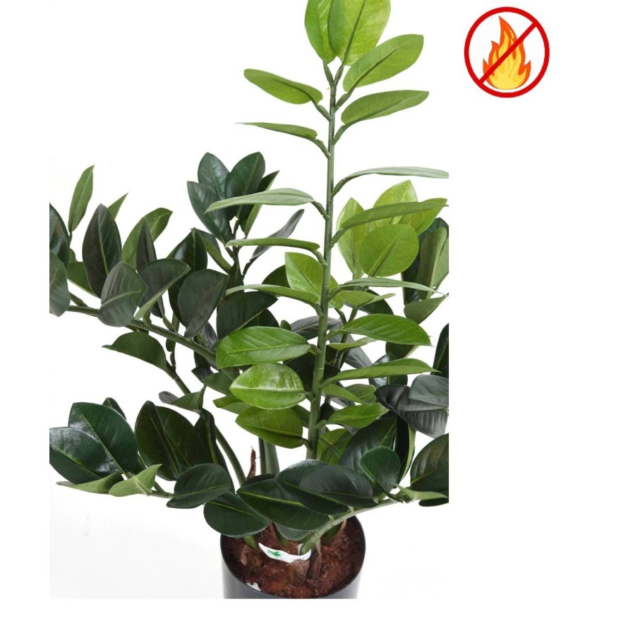 ZAMIA 60 FR - Resistente al Fuego