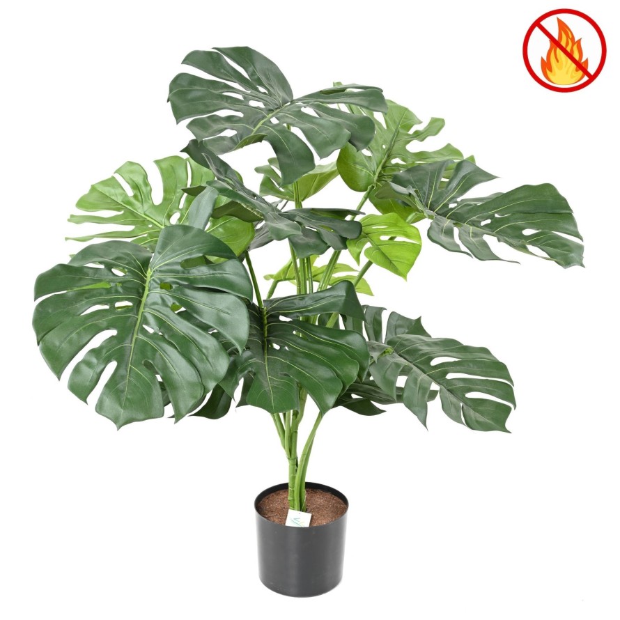 PHILODENDRON GIANT MONSTERA *15 95 cm FR – Feuerbeständig