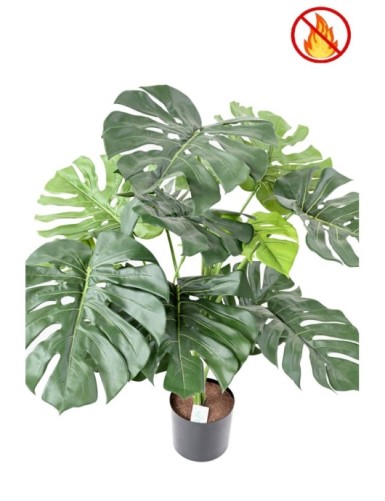 PHILODENDRON GIANT MONSTERA *15 95 cm FR – Feuerbeständig