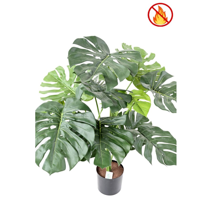 PHILODENDRON GIANT MONSTERA *15 95 cm FR – Feuerbeständig