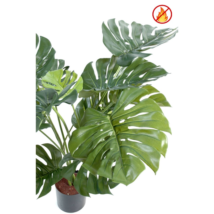 PHILODENDRON GIANT MONSTERA *15 95 cm FR – Feuerbeständig
