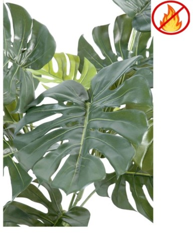 PHILODENDRON GIANT MONSTERA *15 95 cm FR – Feuerbeständig