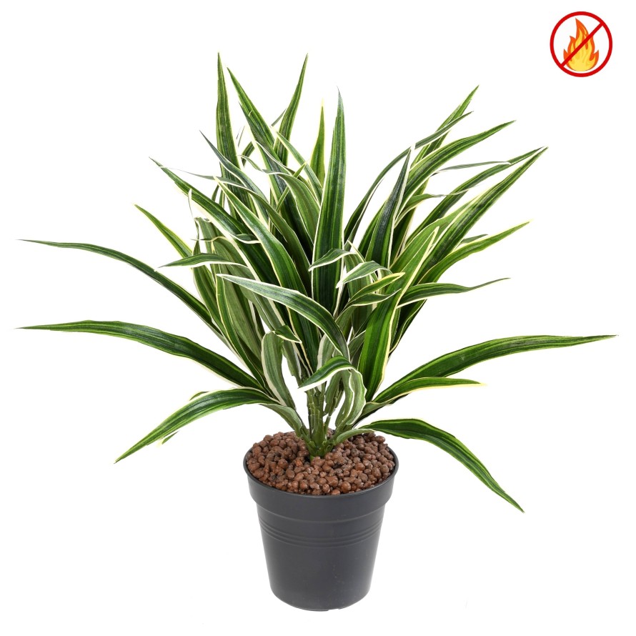 CHLOROPHYTUM ARBUSTO FR - Resistente al Fuego