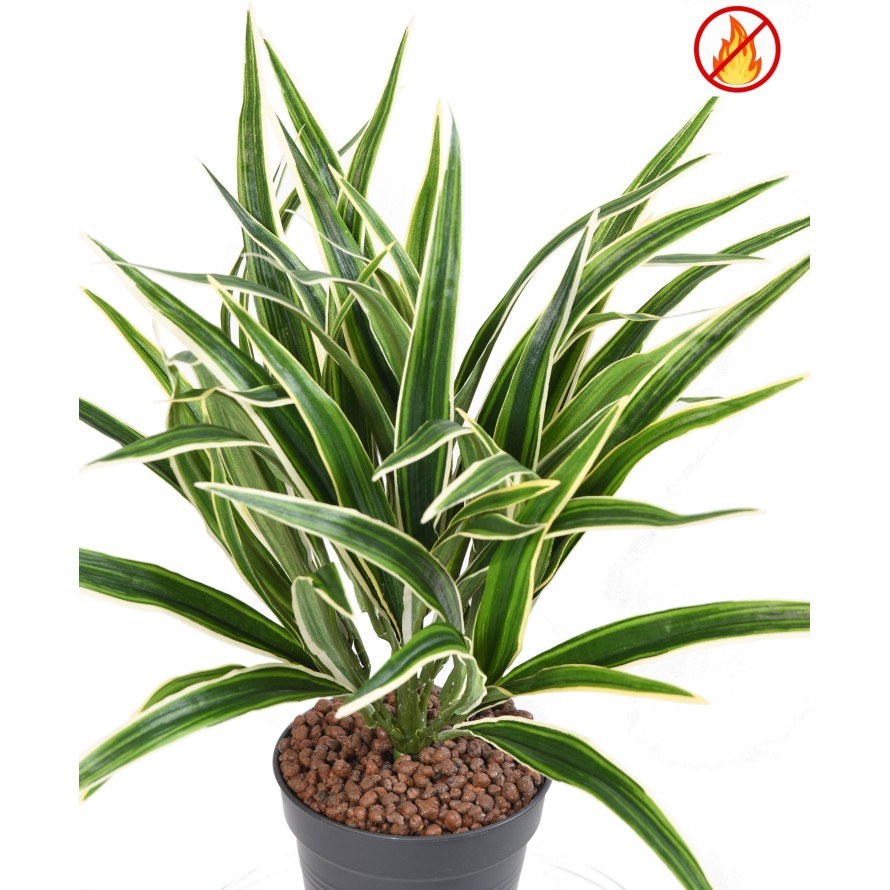CHLOROPHYTUM BUISSON FR - Fire Resistant
