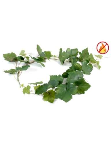 WEINREBE GIRLANDE FR –...