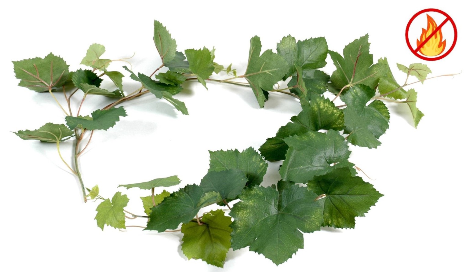 WEINREBE GIRLANDE FR – Feuerbeständig