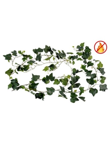 HIEDRA GALA GUIRNALDA FR -...