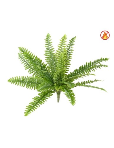 FARN BOSTON *21 FR –...