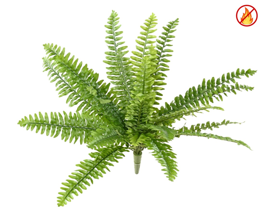 HELECHO BOSTON *21 FR - Resistente al Fuego