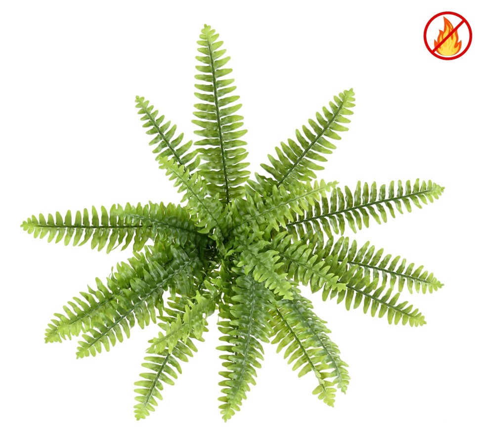 HELECHO BOSTON *21 FR - Resistente al Fuego