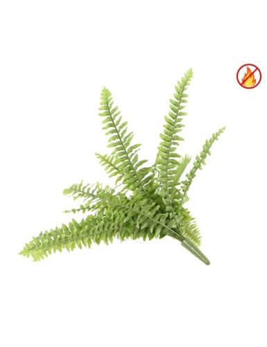 HELECHO BOSTON *21 FR - Resistente al Fuego