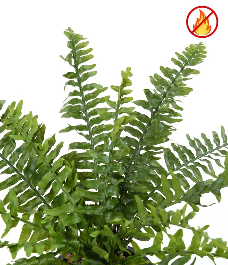 HELECHO BOSTON *21 FR - Resistente al Fuego