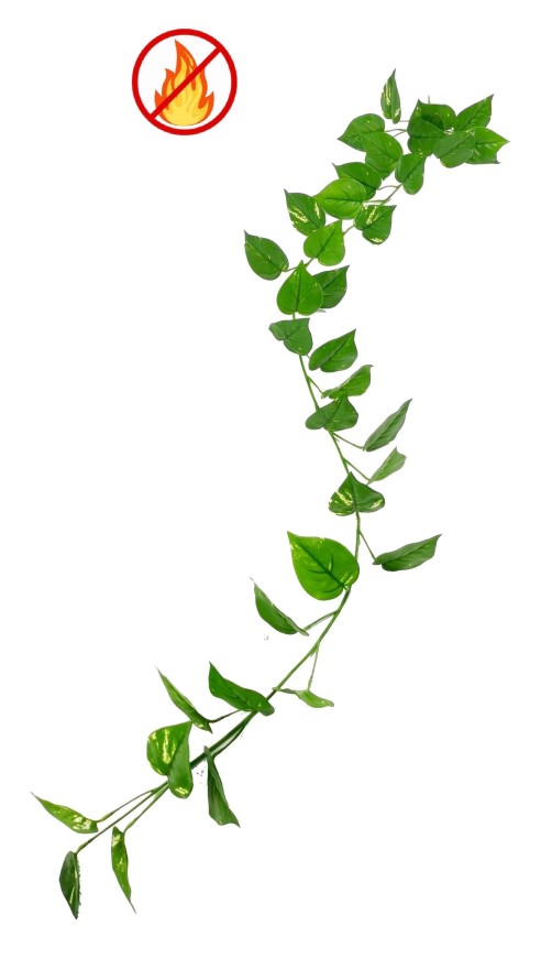 POTHOS GIRLANDE FR – Feuerbeständig