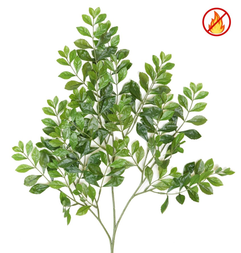 ACACIA RAMA FR - Resistente al Fuego