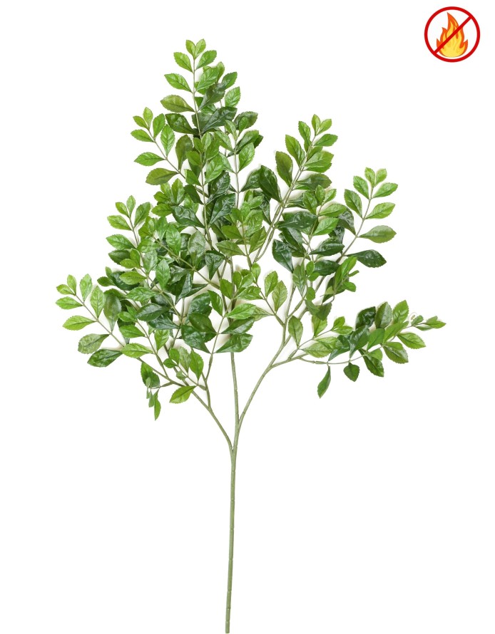 ACACIA RAMA FR - Resistente al Fuego