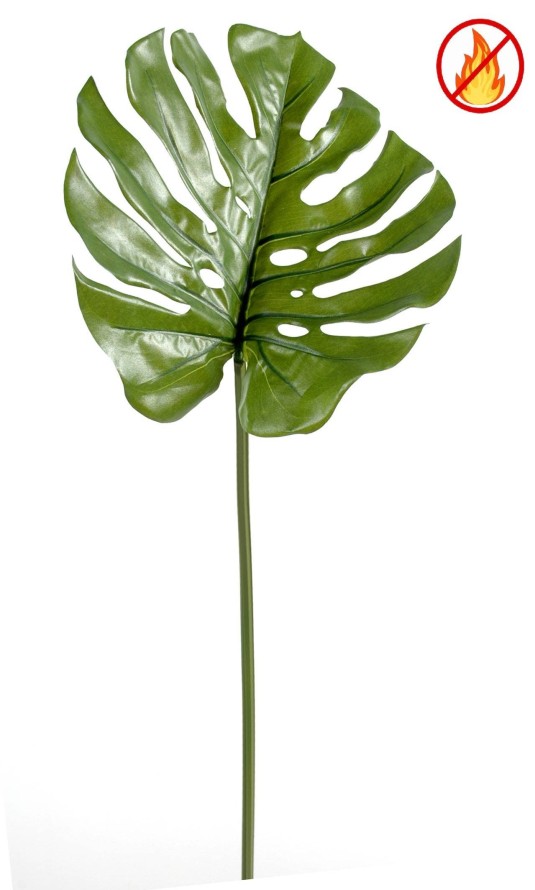 PHILODENDRON MONSTERA STAMM 75 CM L FR – Feuerbeständig