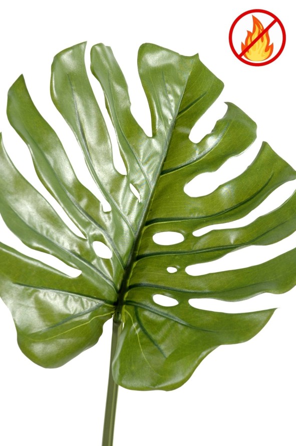 PHILODENDRON MONSTERA TALLO 75 CM L FR - Resistente al Fuego