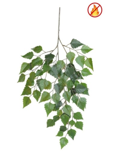 ABEDUL *69 FR - Resistente...