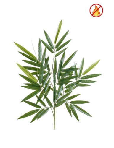 BAMBÚ NEW RAMA FR -...