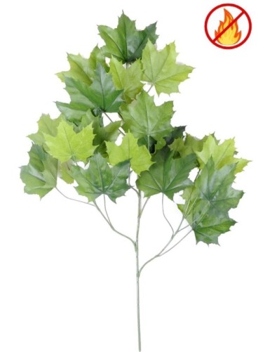 PLATANE ZWEIG *23 FR –...