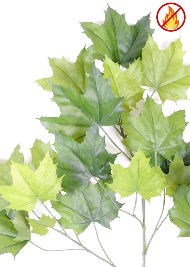 PLÁTANO RAMA *23 FR - Resistente al Fuego