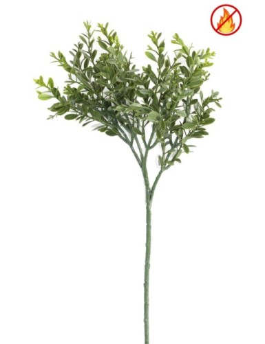 BOJ RED DAY RAMA FR -...