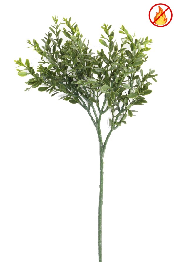 BUCHSBAUM RED DAY ZWEIG FR – Feuerbeständig