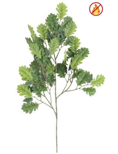 ROBLE MINI RAMA FR -...