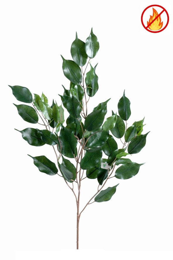 FICUS EXOTICA RAMA *55 FR - Resistente al Fuego