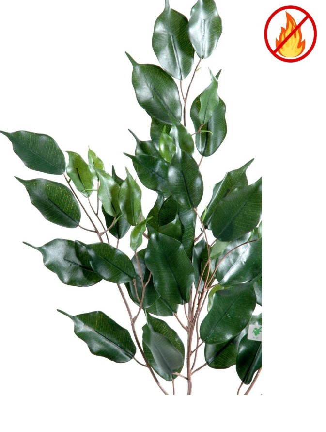 FICUS EXOTICA RAMA *55 FR - Resistente al Fuego