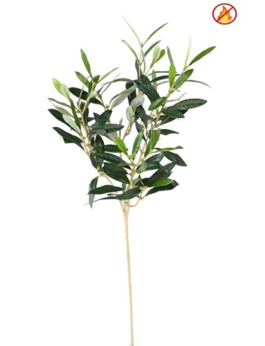 OLIVENBAUM NEW ZWEIG 54CM...
