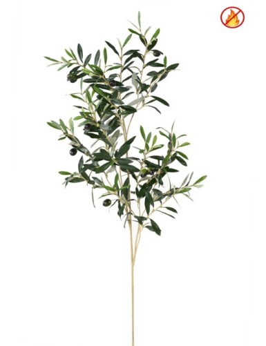 OLIVO NEW RAMA 109 CM FR -...