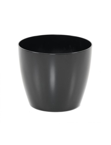 ECOLINE PHOENIX REGULAR...