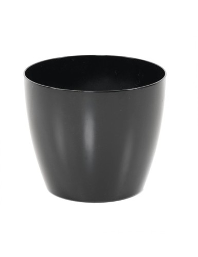 ECOLINE PHOENIX REGULAR...