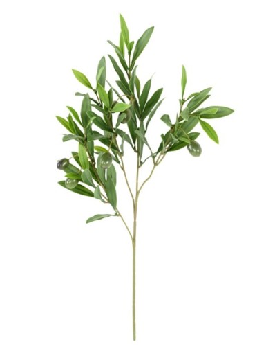 OLIVENBAUM ZWEIG 52 OLIVEN...