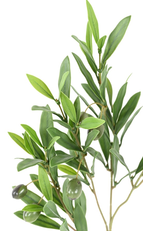 OLIVE TREE SPRAY 52 OLIVES PLAST UV
