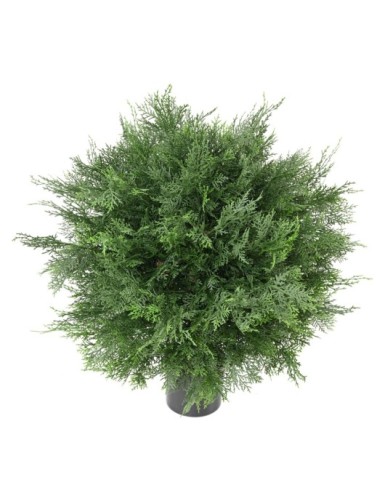 CIPRÉS DE LAWSON ESFERA RESISTENTE A LOS RAYOS UV