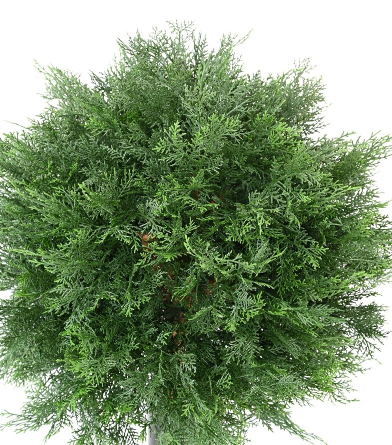 ZYPRESSE LAWSON KUGEL UV